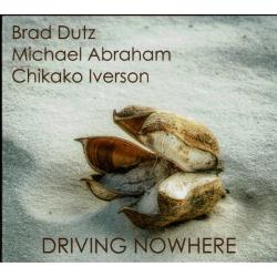 Driving Nowhere CD by Tonian Labs photo